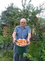 Подходит для Беларуси