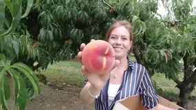 Промышленное выращивание